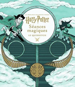 harry-potter---seances-magiques-le-quidditch-1174197-264-432